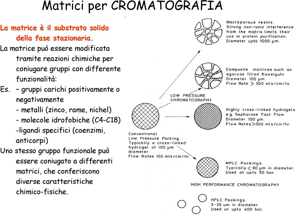 gruppi carichi positivamente o negativamente - metalli (zinco, rame, nichel) - molecole idrofobiche (C4-C18) -ligandi