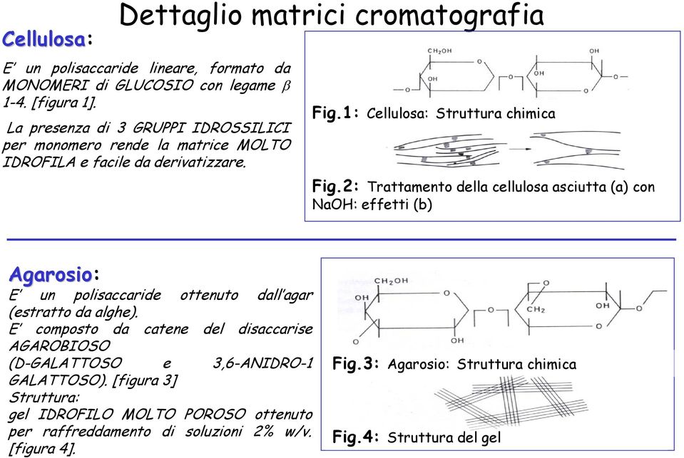 2: Trattamento della cellulosa asciutta (a) con NaOH: effetti (b) Agarosio: E un polisaccaride ottenuto dall agar (estratto da alghe).