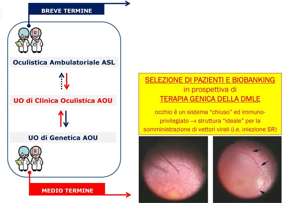 FARMACEUTICA SELEZIONE DI PAZIENTI E BIOBANKING in prospettiva di TERAPIA GENICA DELLA DMLE occhio è un sistema