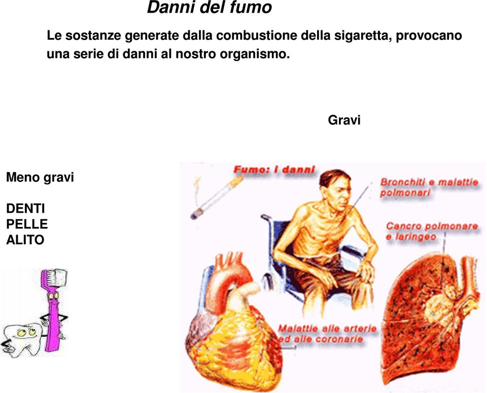 provocano una serie di danni al nostro