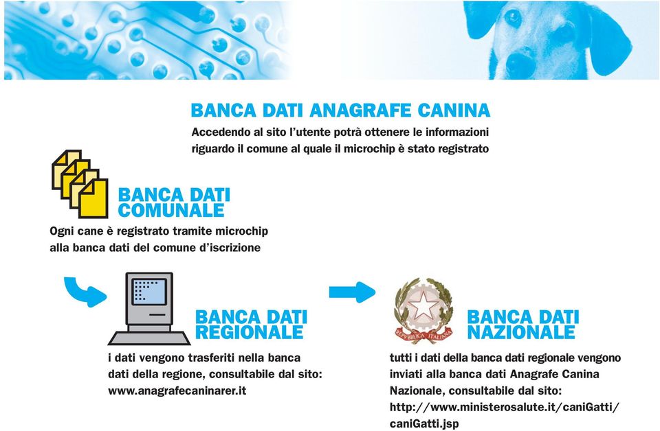 vengono trasferiti nella banca dati della regione, consultabile dal sito: www.anagrafecaninarer.
