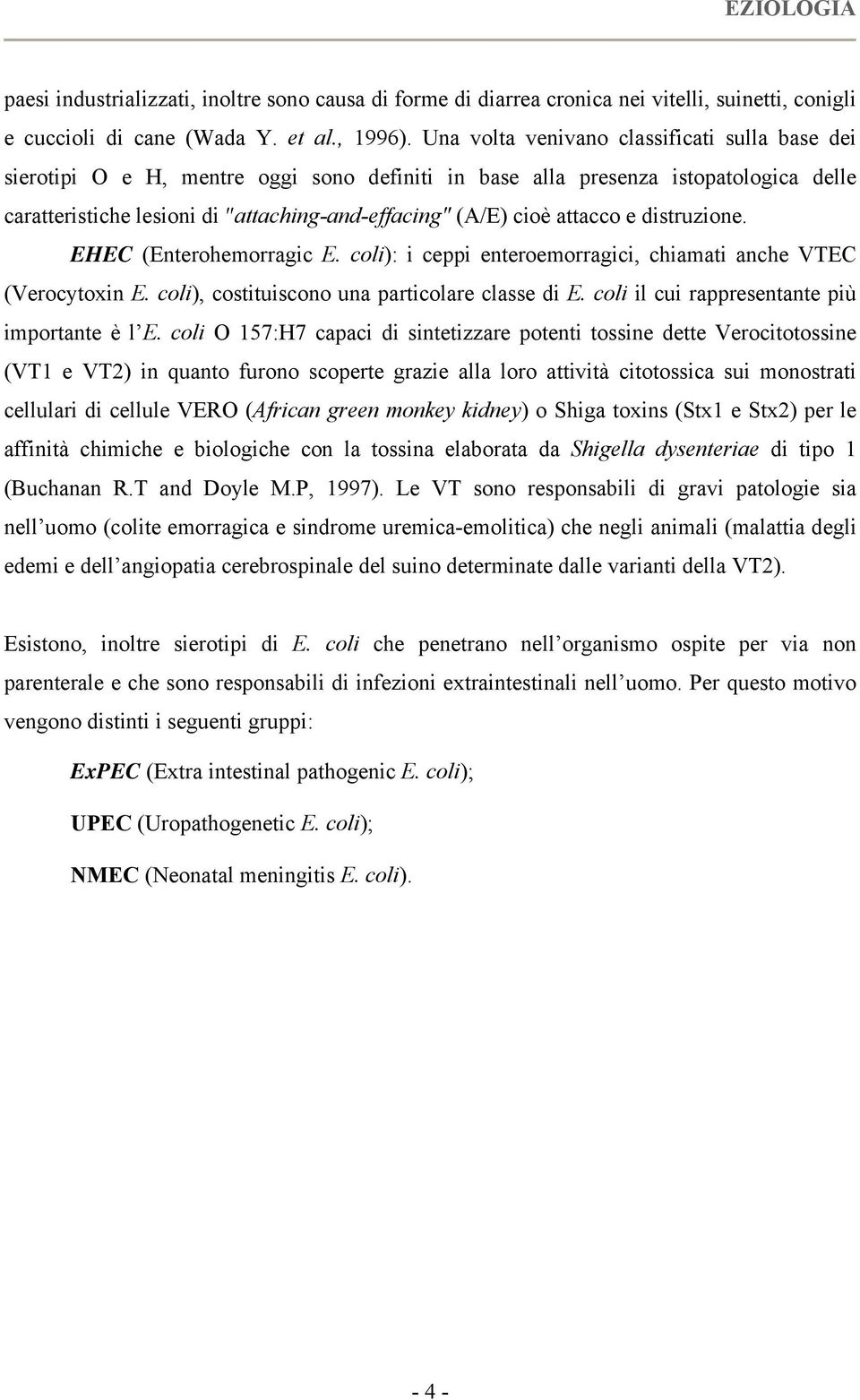 attacco e distruzione. EHEC (Enterohemorragic E. coli): i ceppi enteroemorragici, chiamati anche VTEC (Verocytoxin E. coli), costituiscono una particolare classe di E.