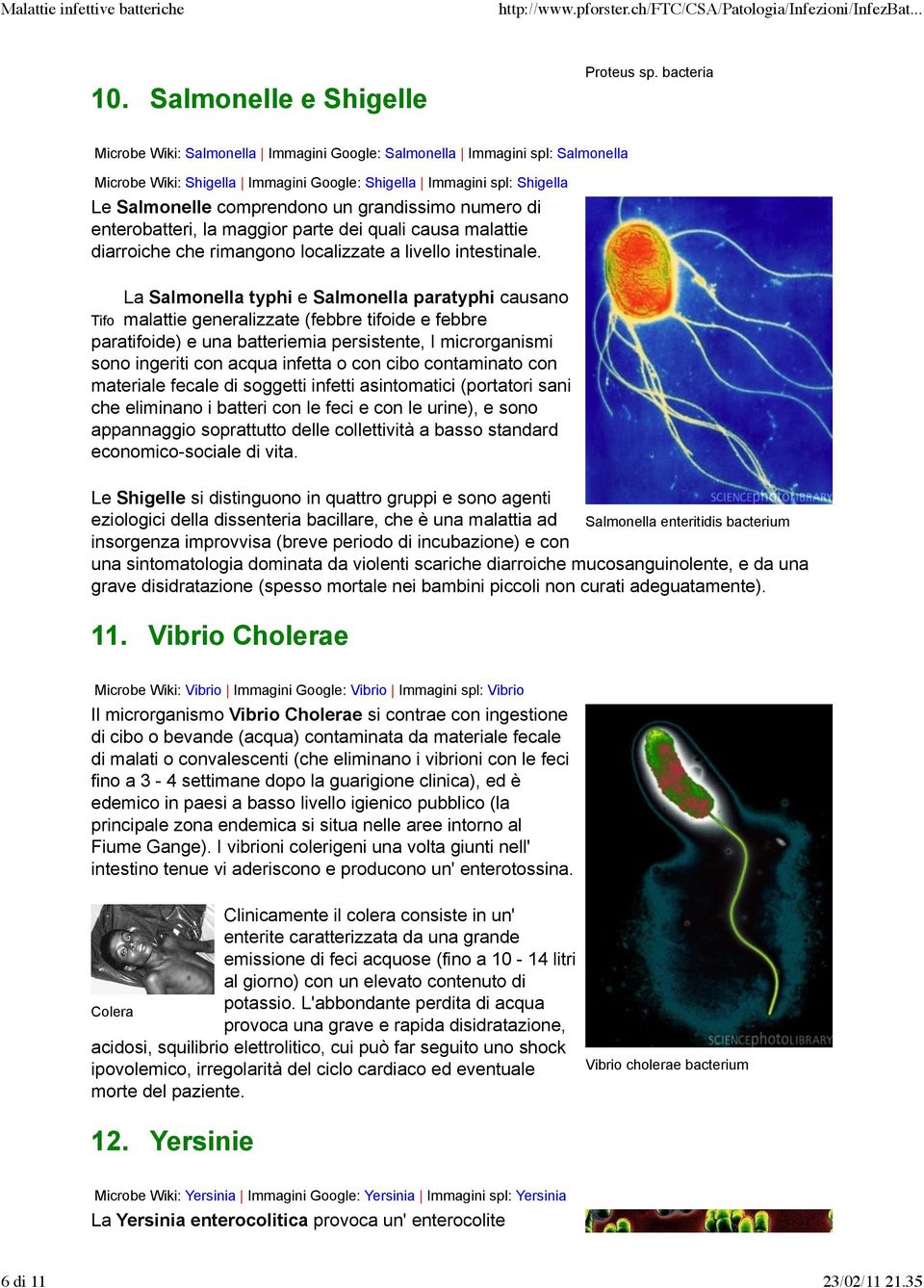 numero di enterobatteri, la maggior parte dei quali causa malattie diarroiche che rimangono localizzate a livello intestinale.