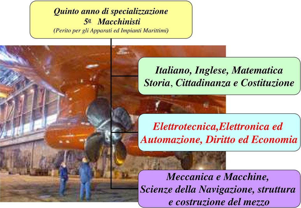 Costituzione Elettrotecnica,Elettronica ed Automazione, Diritto ed Economia