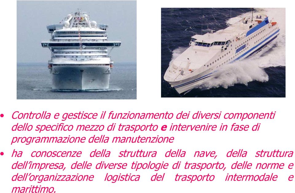 della struttura della nave, della struttura dell impresa, delle diverse tipologie di