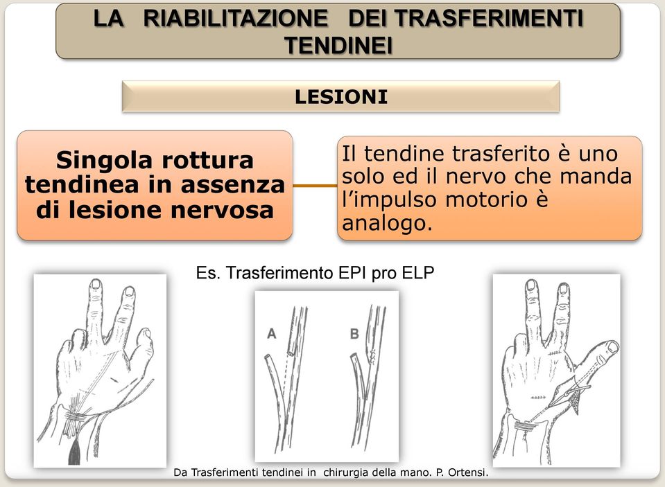 manda l impulso motorio è analogo. Es.