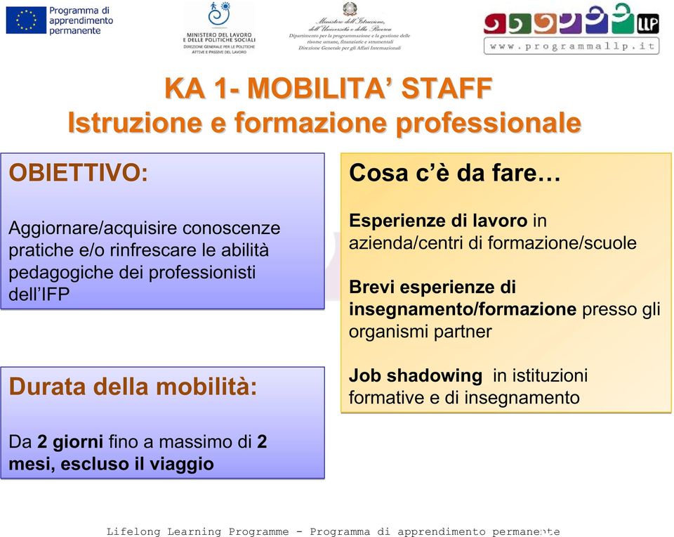 lavoro in azienda/centri di formazione/scuole Brevi esperienze di insegnamento/formazione presso gli organismi