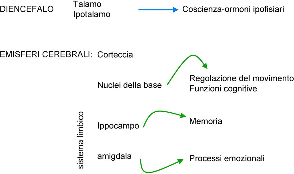 della base Regolazione del movimento Funzioni