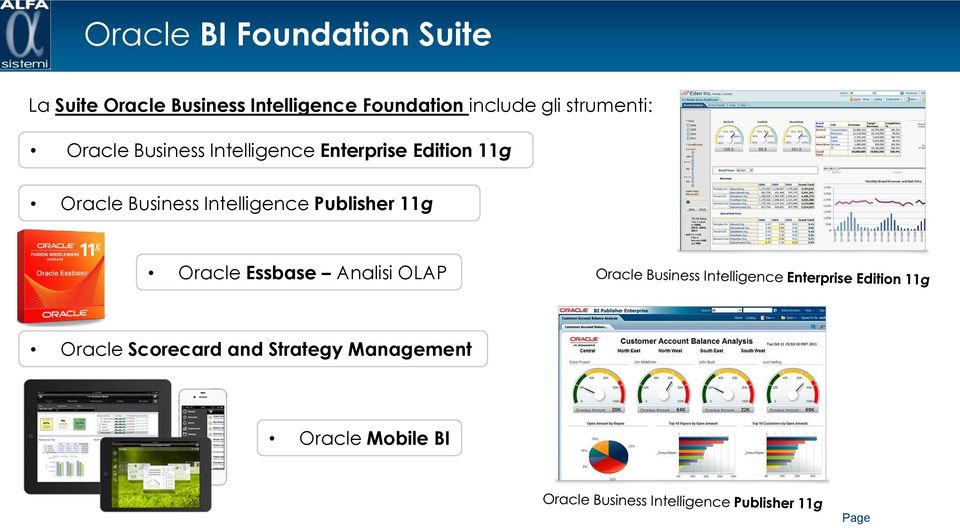 Enterprise Edition 11g Oracle Business Intelligence Publisher 11g