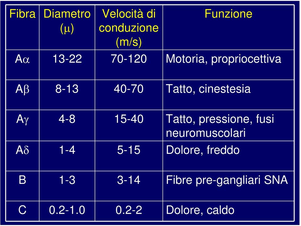 4-8 15-40 Tatto, pressione, fusi neuromuscolari Aδ 1-4 5-15 Dolore,