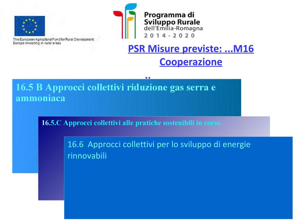 16.5.C Approcci collettivi alle pratiche sostenibili in