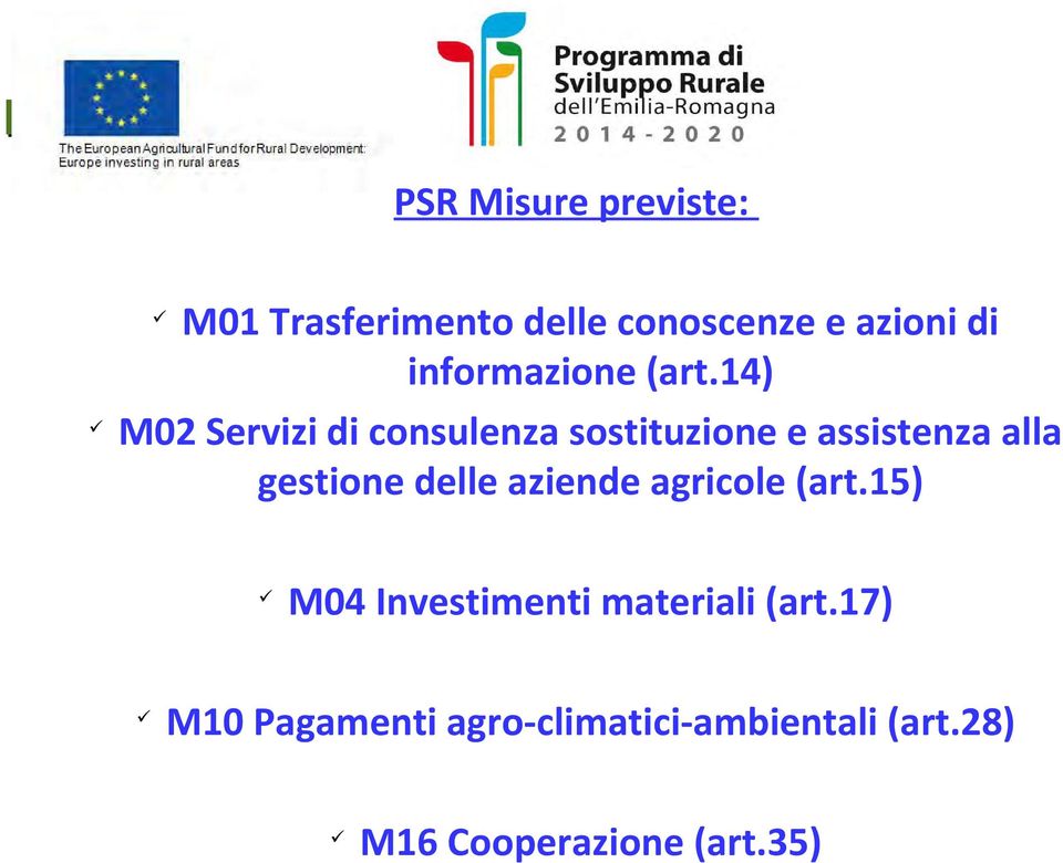 14) M02 Servizi di consulenza sostituzione e assistenza alla gestione