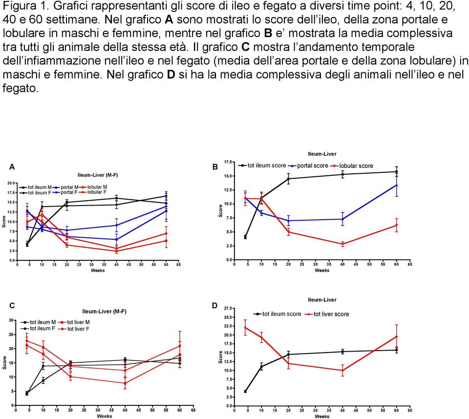 Il grafico C mostra l andamento temporale dell infiammazione nell ileo e nel fegato (media dell area portale e della zona lobulare) in maschi e femmine.