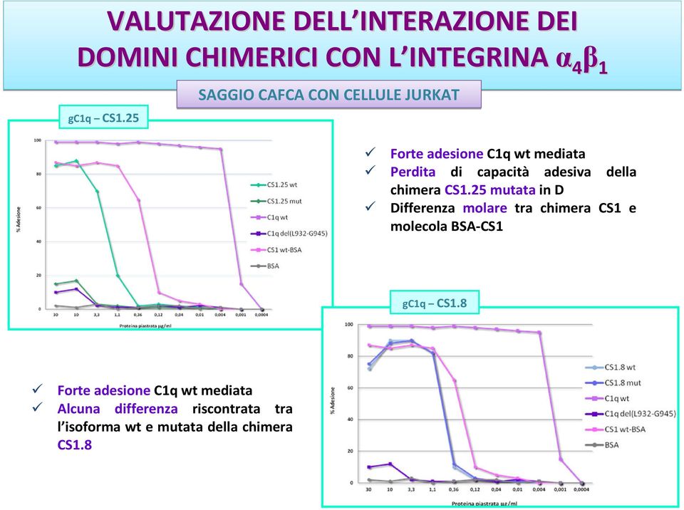 della chimera CS1.25 mutata in D Differenza molare tra chimera CS1 e molecola BSA-CS1 gc1q CS1.