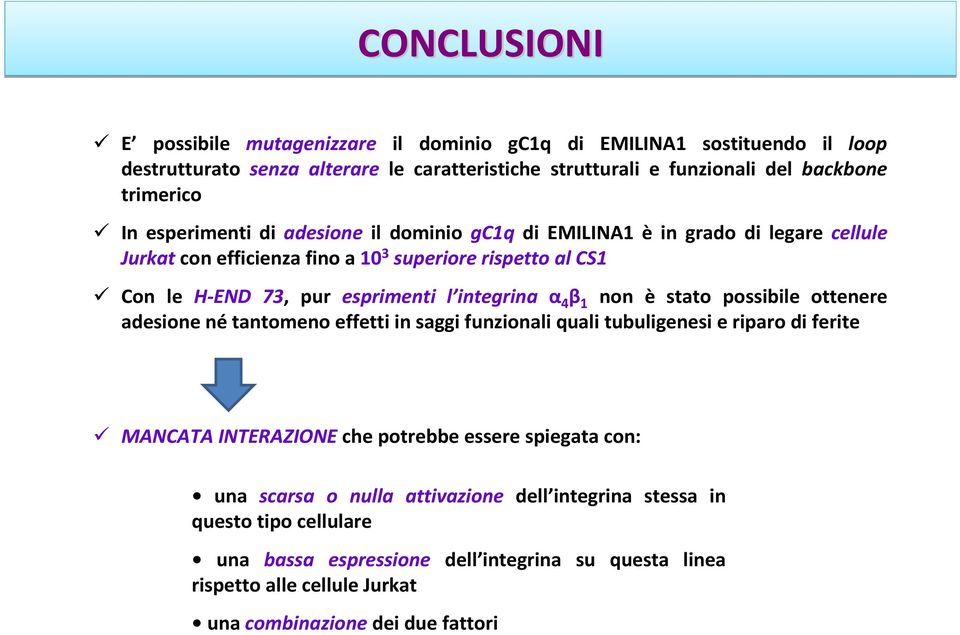 α 4 β 1 non è stato possibile ottenere adesione né tantomeno effetti in saggi funzionali quali tubuligenesi e riparo di ferite MANCATA INTERAZIONE che potrebbe essere spiegata con: una