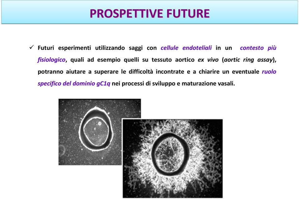 ring assay), potranno aiutare a superare le difficoltà incontrate e a chiarire un