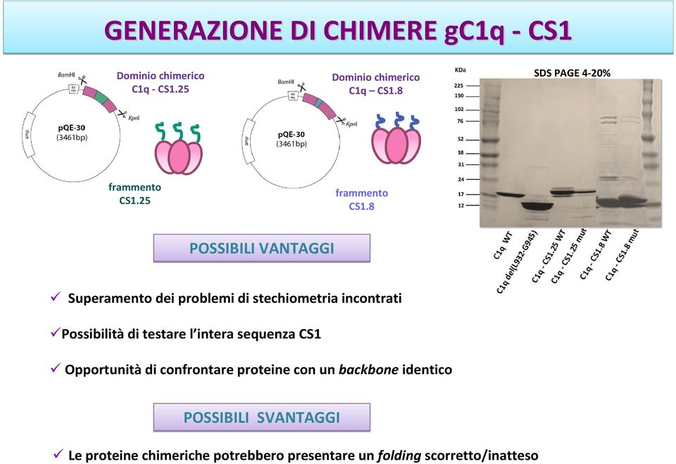 8 POSSIBILI VANTAGGI Superamento dei problemi di stechiometria incontrati Possibilità di testare l