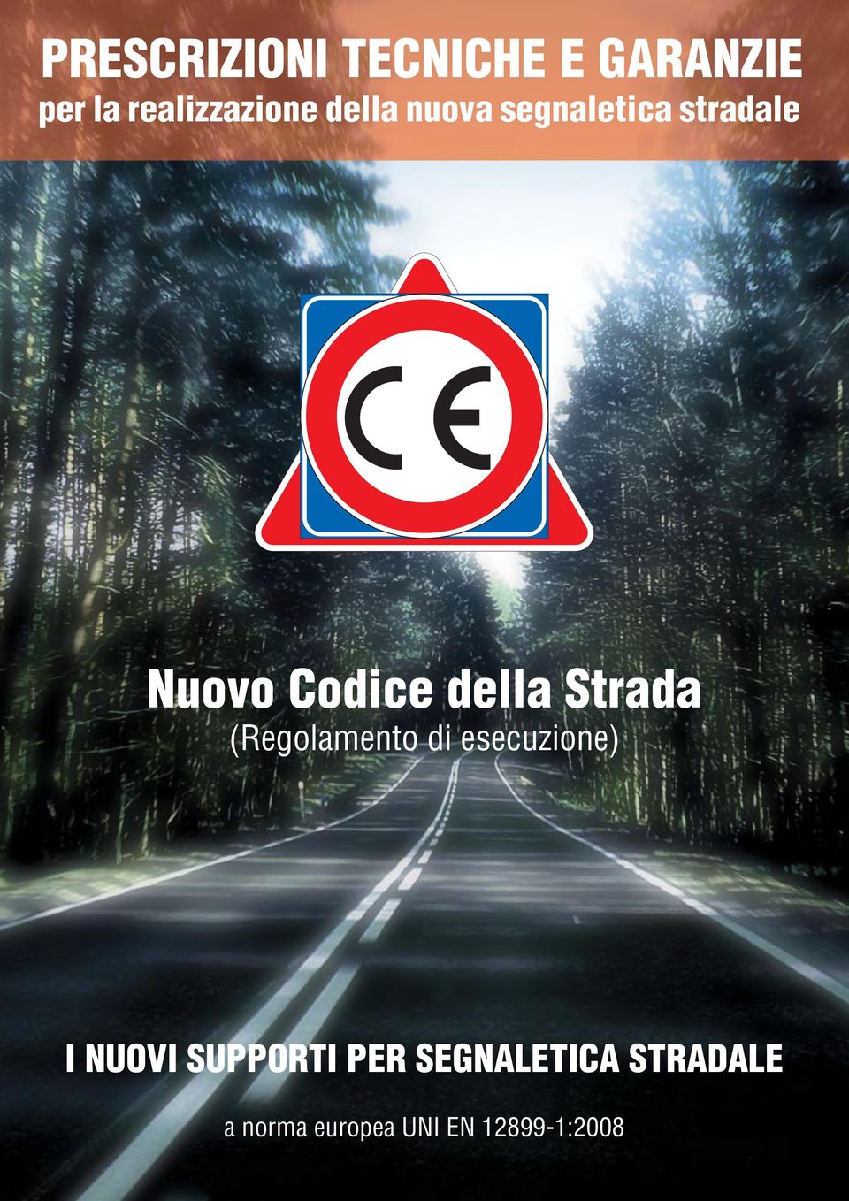 Strada (Regolamento di esecuzione) I NUOVI SUPPORTI