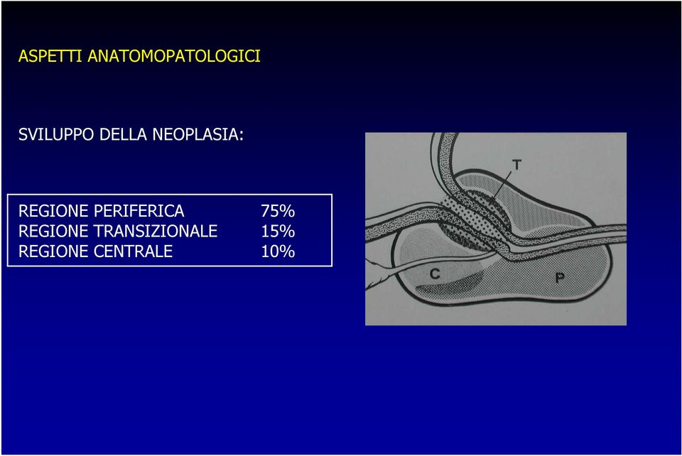 REGIONE PERIFERICA 75% REGIONE