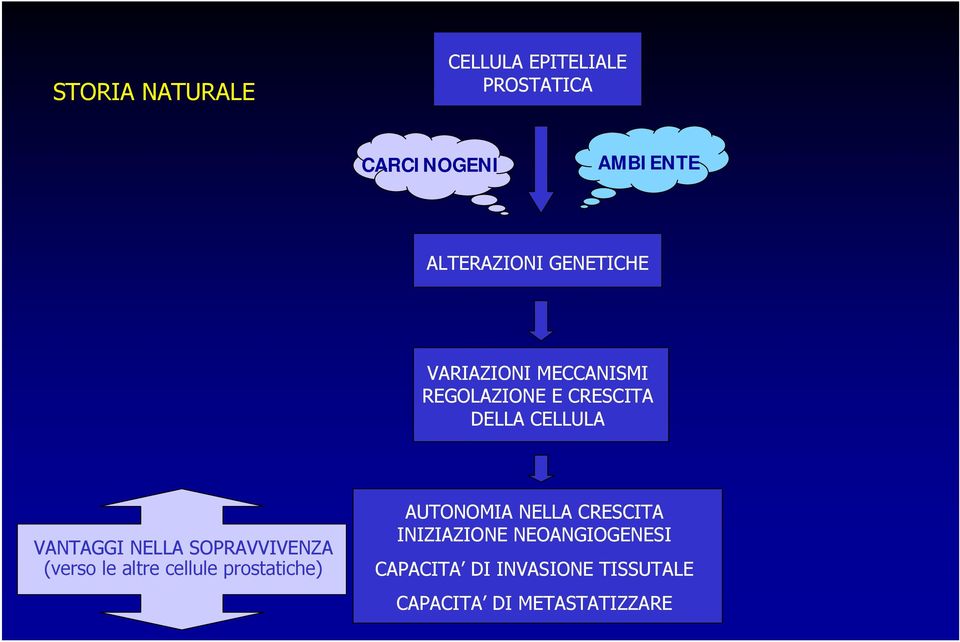 NELLA SOPRAVVIVENZA (verso le altre cellule prostatiche) AUTONOMIA NELLA