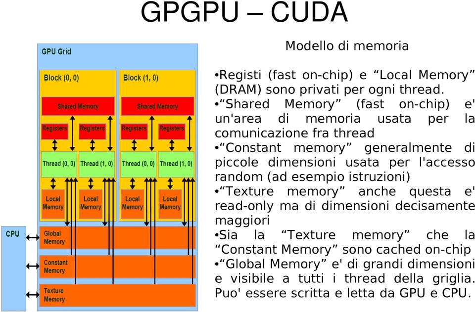 usata per l'accesso random (ad esempio istruzioni) Texture memory anche questa e' read-only ma di dimensioni decisamente maggiori Sia la