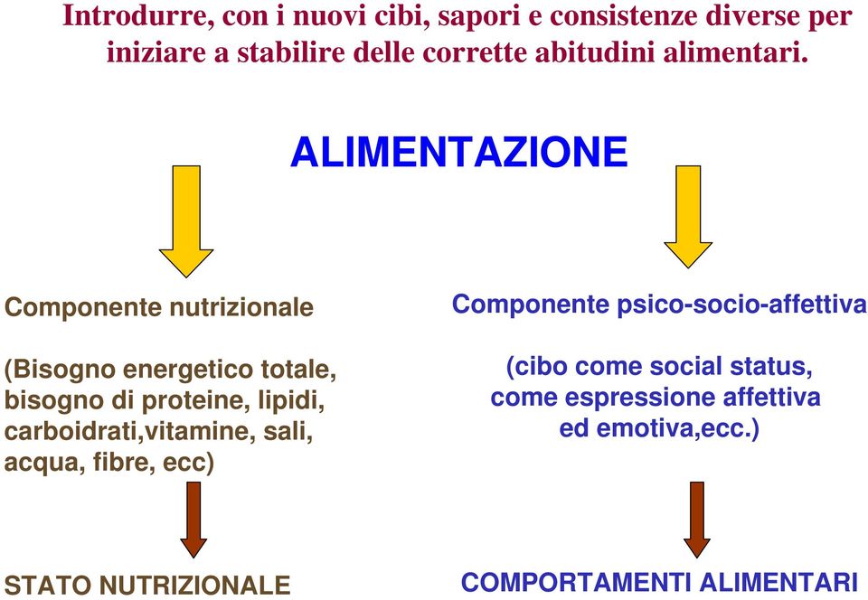 ALIMENTAZIONE Componente nutrizionale (Bisogno energetico totale, bisogno di proteine, lipidi,