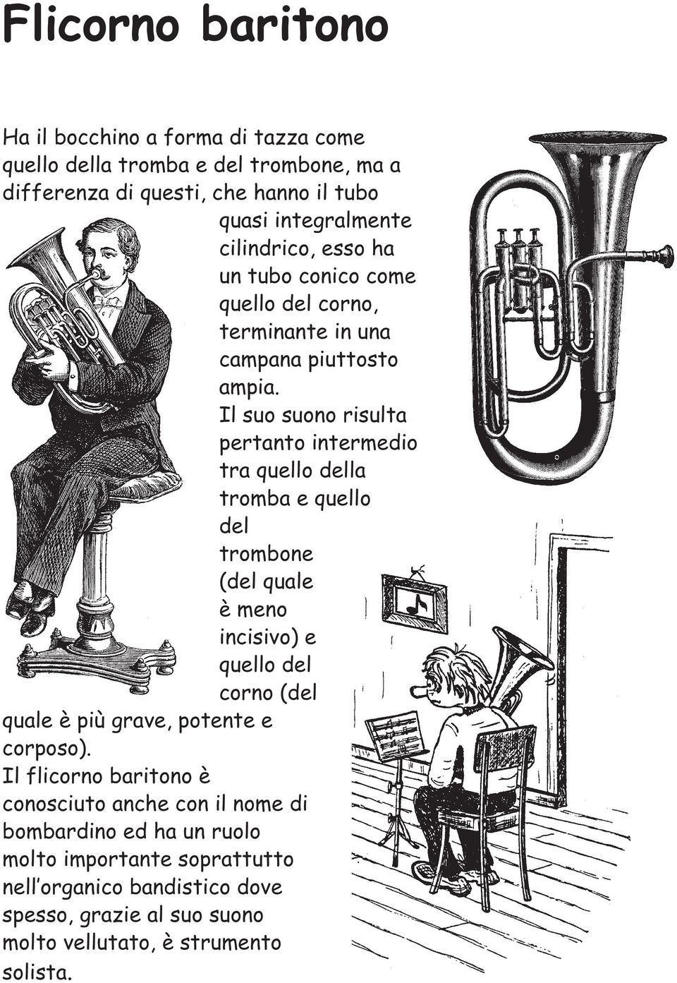 Il suo suono risulta pertanto intermedio tra quello della tromba e quello del trombone (del quale è meno incisivo) e quello del corno (del quale è più grave,