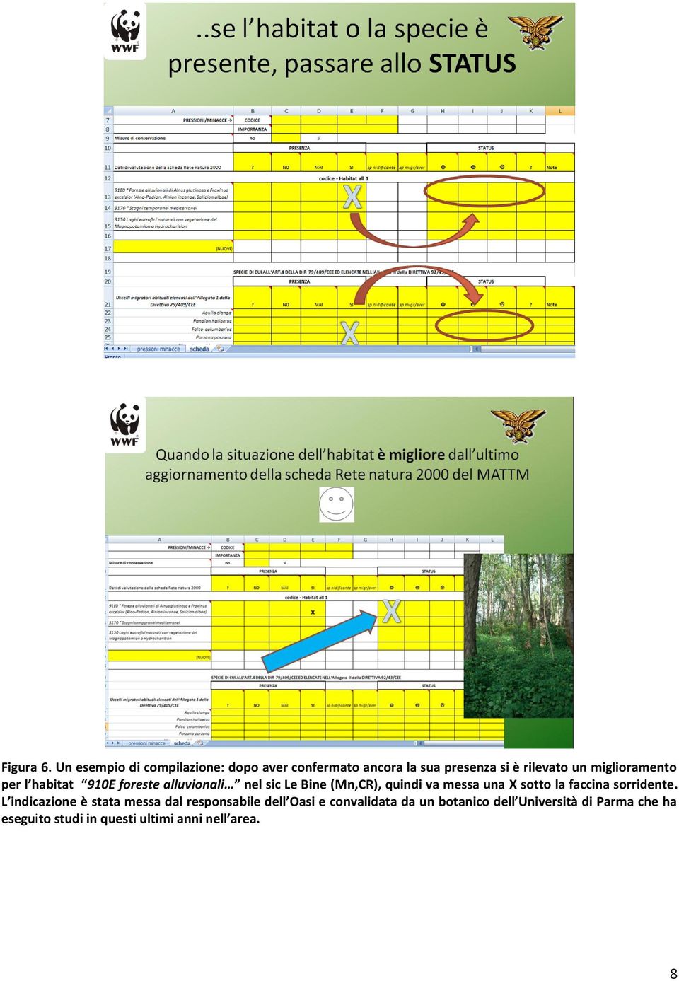 miglioramento per l habitat 910E foreste alluvionali nel sic Le Bine (Mn,CR), quindi va messa una