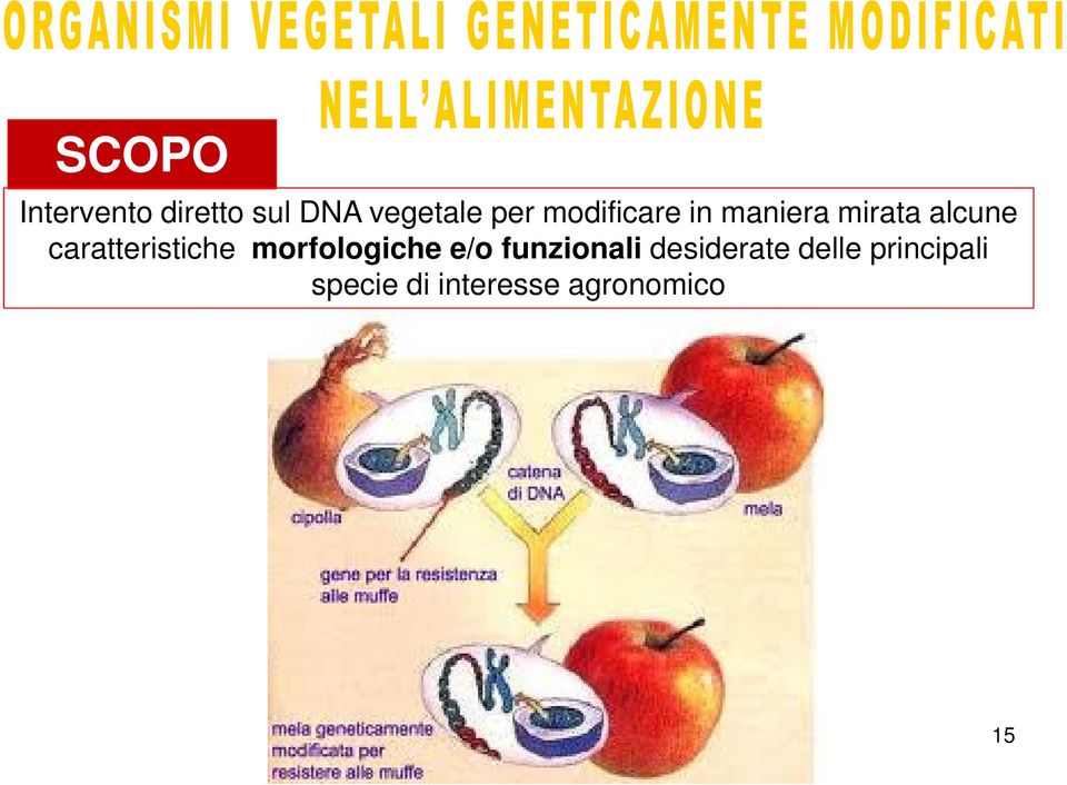 caratteristiche morfologiche e/o funzionali