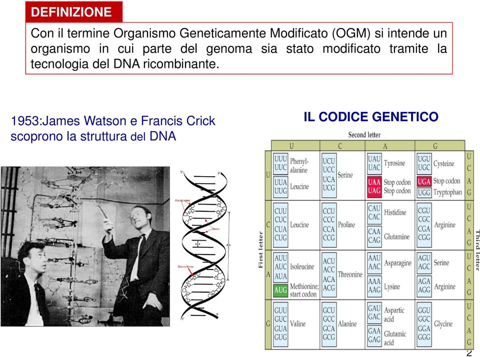 modificato tramite la tecnologia del DNA ricombinante.