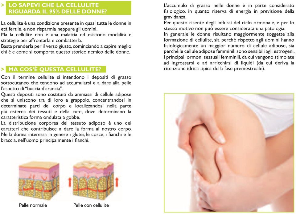 Basta prenderla per il verso giusto, cominciando a capire meglio chi è e come si comporta questo storico nemico delle donne. > Ma cos è questa cellulite?