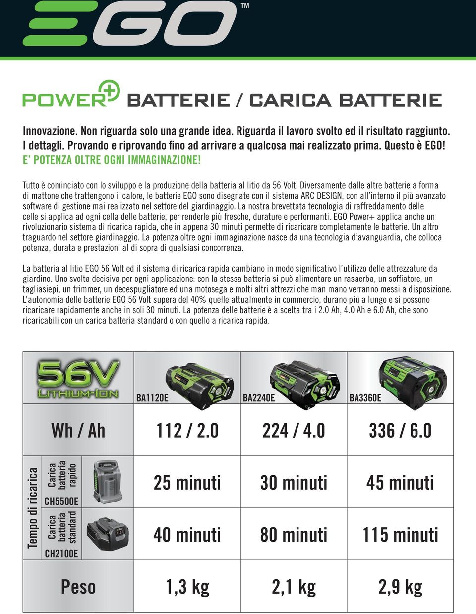 Tutto è cominciato con lo sviluppo e la produzione della batteria al litio da 56 Volt.