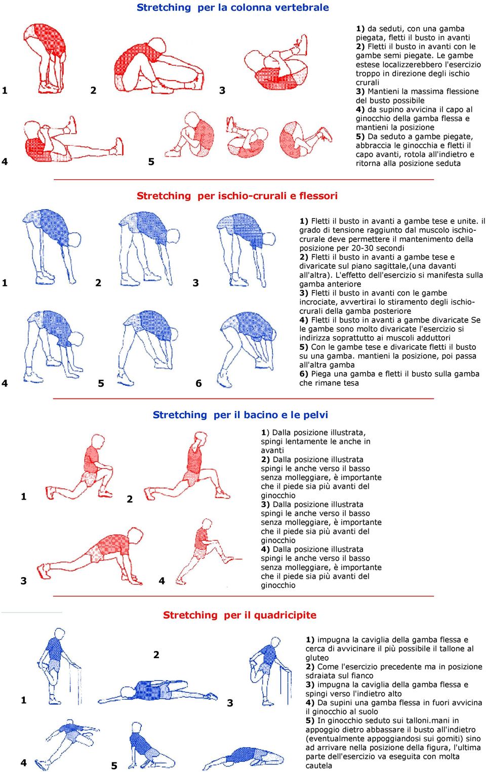 flessa e mantieni la posizione 5) Da seduto a gambe piegate, abbraccia le ginocchia e fletti il capo avanti, rotola all'indietro e ritorna alla posizione seduta Stretching per ischio-crurali e