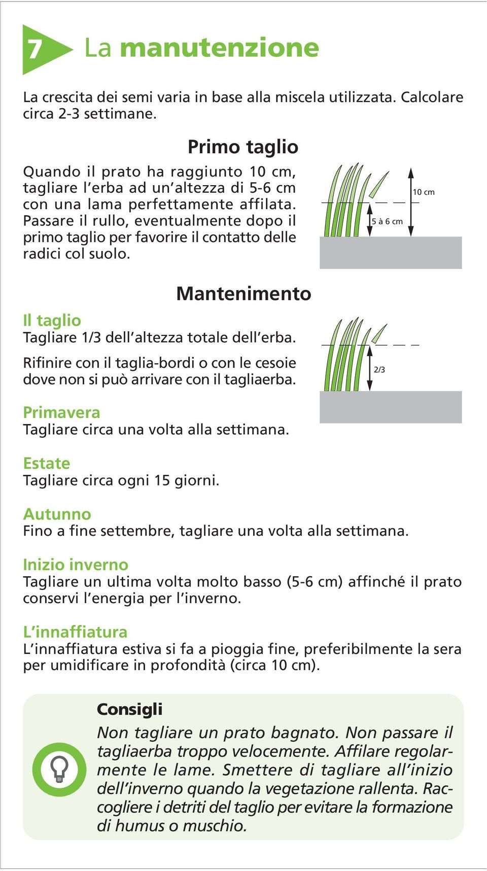 Passare il rullo, eventualmente dopo il primo taglio per favorire il contatto delle radici col suolo. Mantenimento Il taglio Tagliare 1/3 dell altezza totale dell erba.