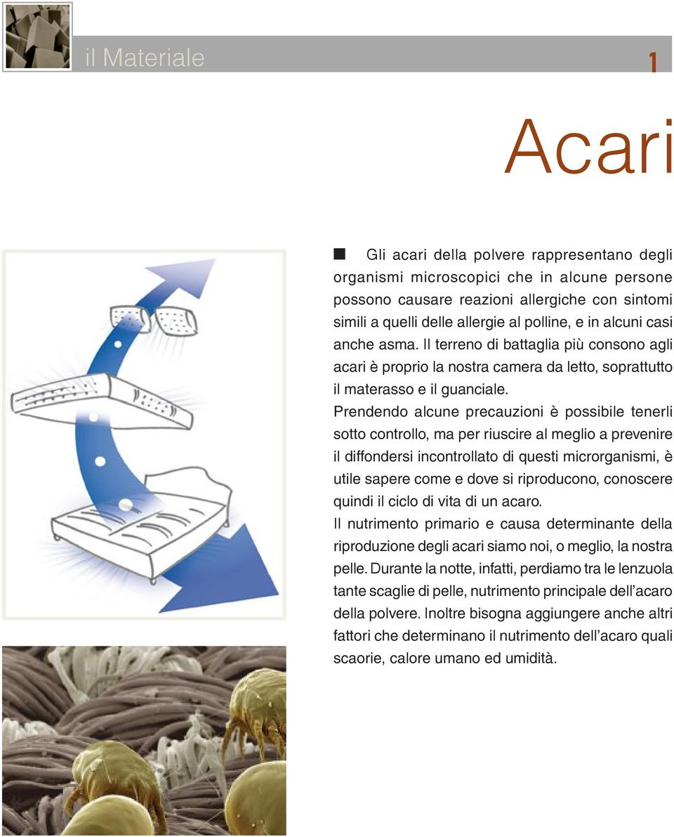 Prendendo alcune precauzioni è possibile tenerli sotto controllo, ma per riuscire al meglio a prevenire il diffondersi incontrollato di questi microrganismi, è utile sapere come e dove si