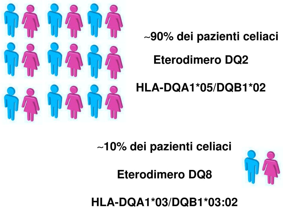 HLA-DQA1*05/DQB1*02 10% dei