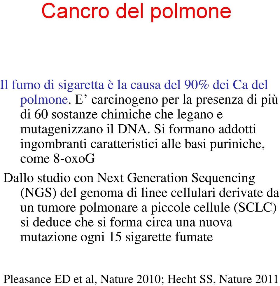 Si formano addotti ingombranti caratteristici alle basi puriniche, come 8-oxoG Dallo studio con Next Generation Sequencing (NGS)