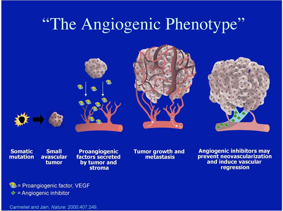 and stroma Tumor growth and metastasis Angiogenic inhibitors may prevent