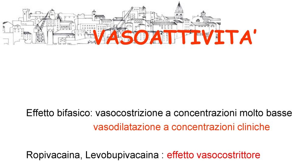 basse vasodilatazione a concentrazioni