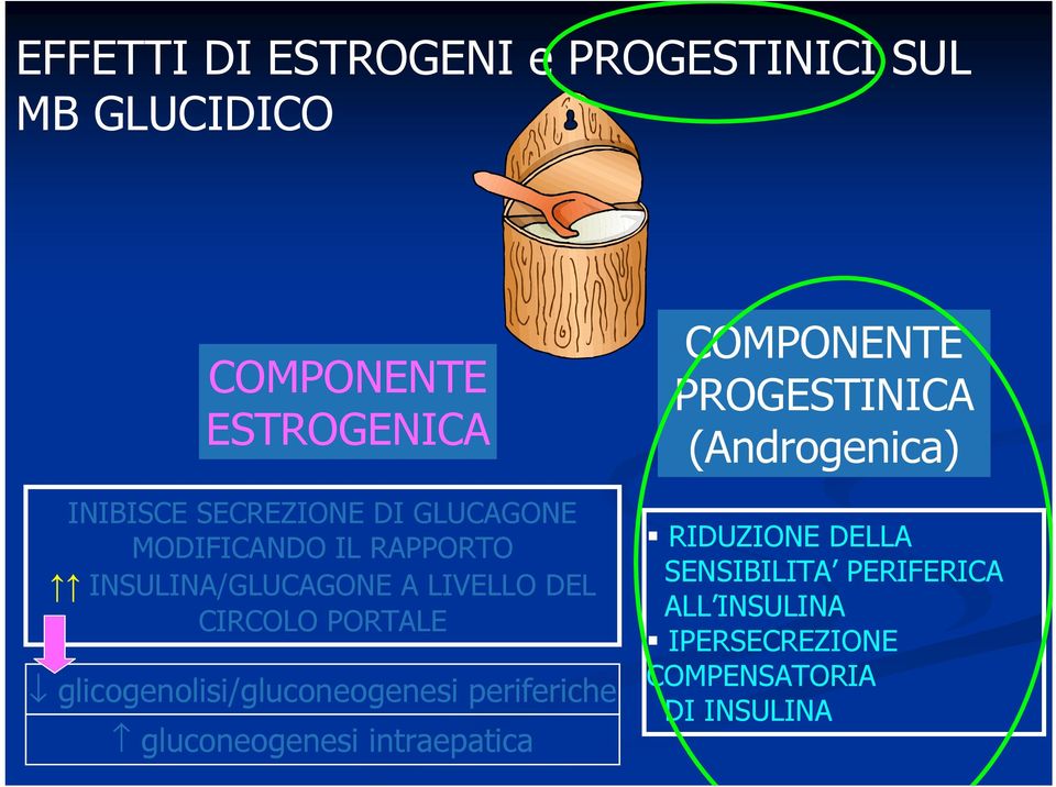 glicogenolisi/gluconeogenesi periferiche gluconeogenesi intraepatica COMPONENTE PROGESTINICA