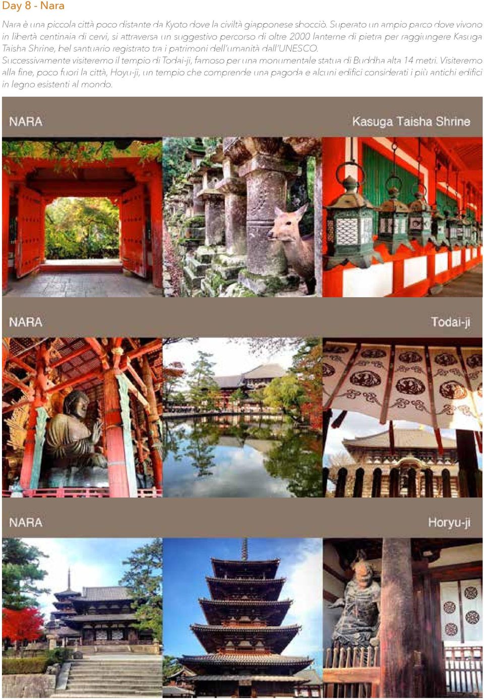 Kasuga Taisha Shrine, bel santuario registrato tra i patrimoni dell umanità dall UNESCO.
