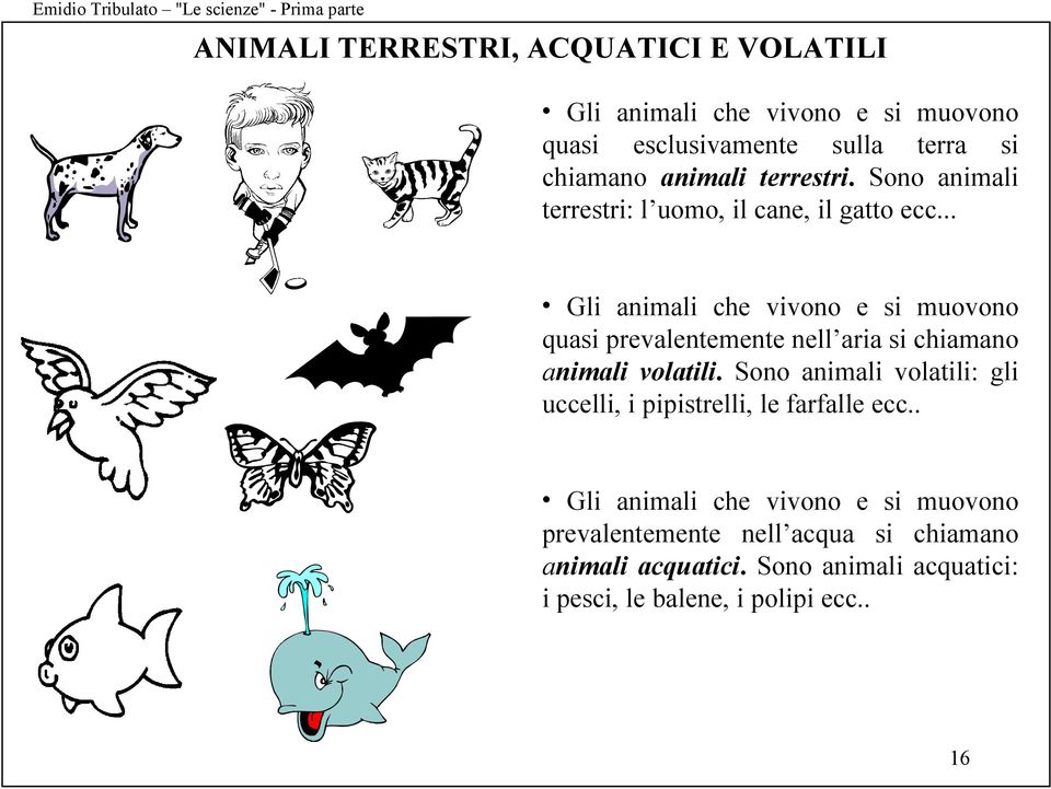 .. Gli animali che vivono e si muovono quasi prevalentemente nell aria si chiamano animali volatili.
