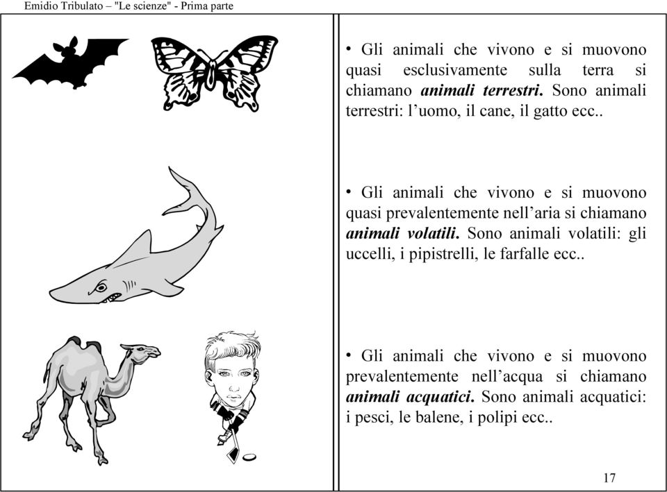 . Gli animali che vivono e si muovono quasi prevalentemente nell aria si chiamano animali volatili.