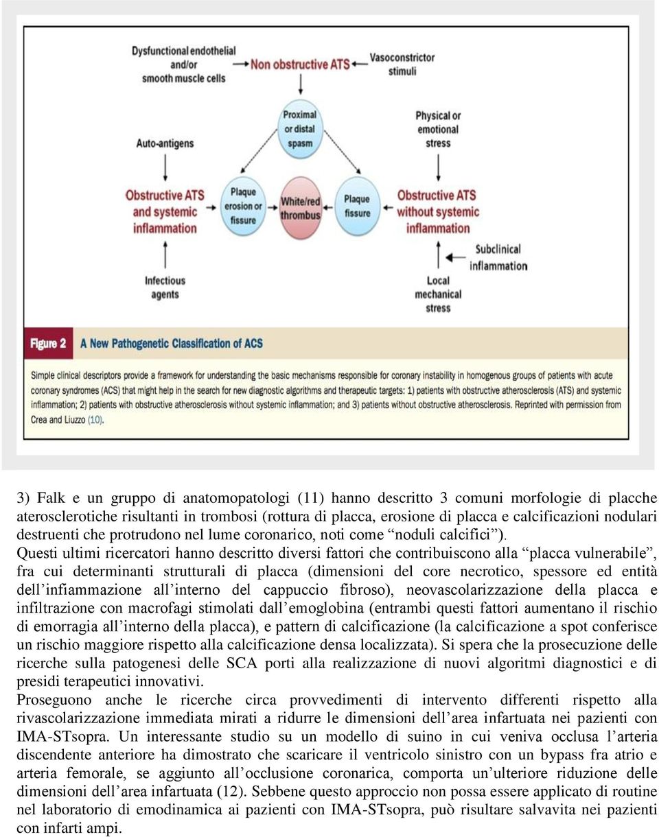 Questi ultimi ricercatori hanno descritto diversi fattori che contribuiscono alla placca vulnerabile, fra cui determinanti strutturali di placca (dimensioni del core necrotico, spessore ed entità