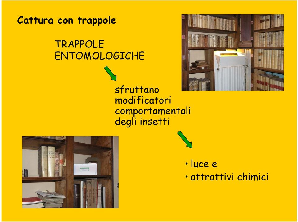 modificatori comportamentali