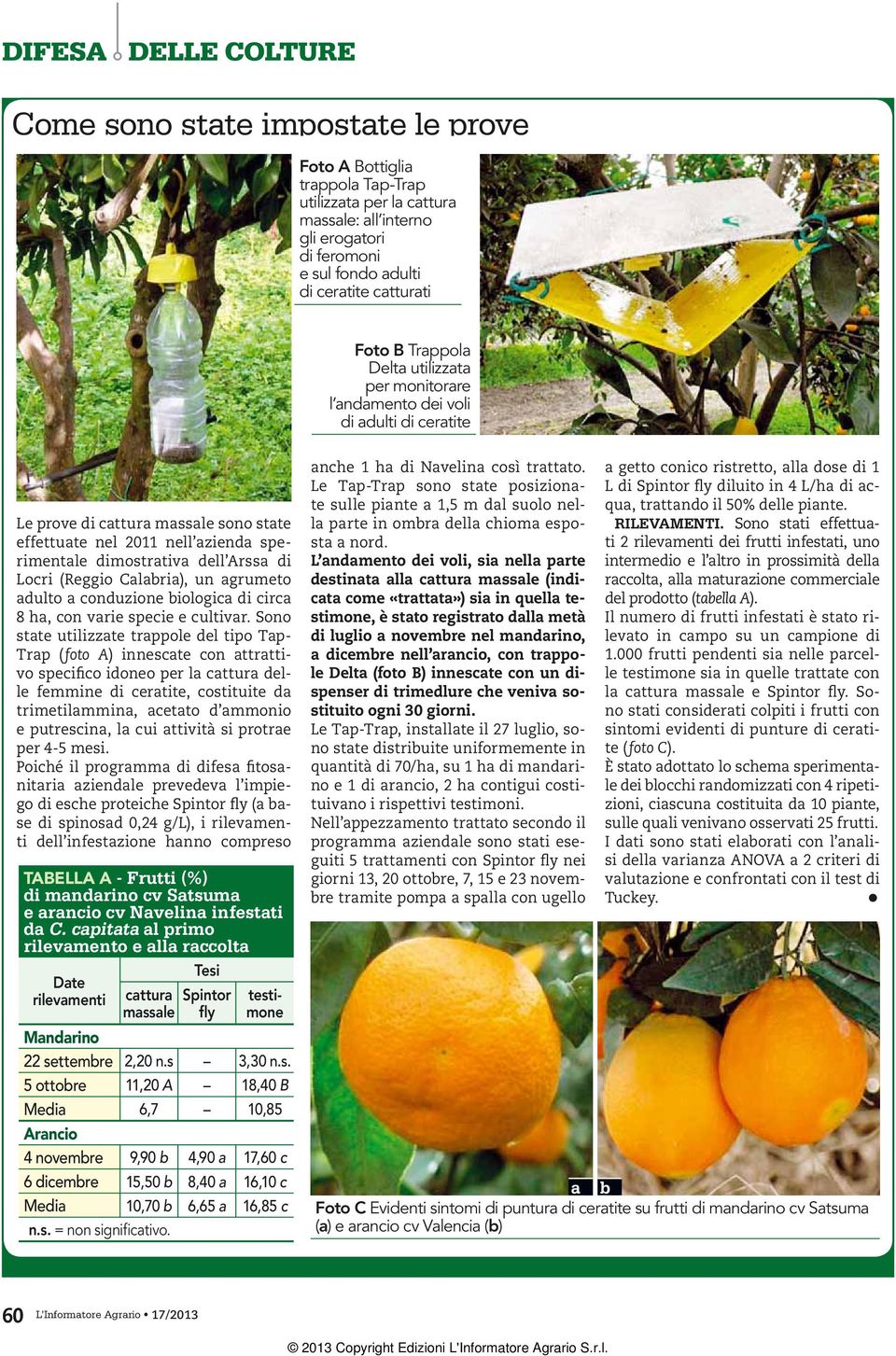 (Reggio Calabria), un agrumeto adulto a conduzione biologica di circa 8 ha, con varie specie e cultivar.