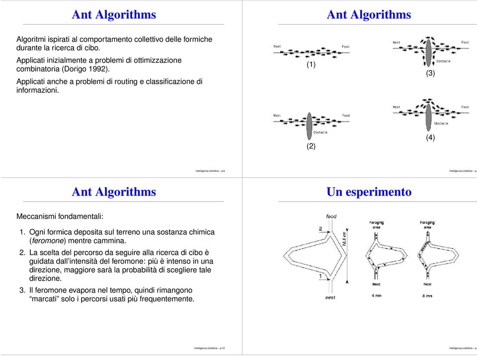 (1) (3) (2) (4) 9 Ant Algorithms Un esperimento Meccanismi fondamentali: 1. Ogni formica deposita sul terreno una sostanza chimica (feromone) mentre cammina. 2.