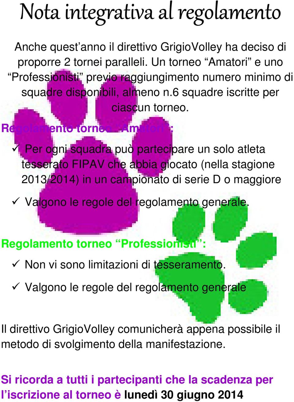 Regolamento torneo Amatori : Per ogni squadra può partecipare un solo atleta tesserato FIPAV che abbia giocato (nella stagione 2013/2014) in un campionato di serie D o maggiore Valgono le regole del