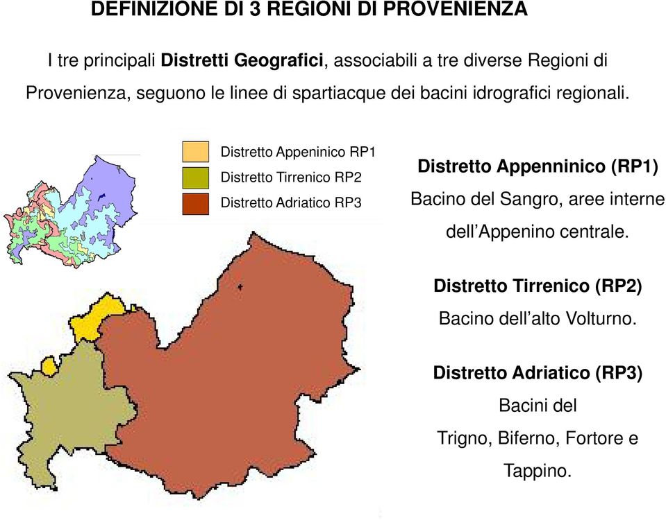 Distretto Appeninico RP1 Distretto Tirrenico RP2 Distretto Adriatico RP3 Distretto Appenninico (RP1) Bacino del Sangro,