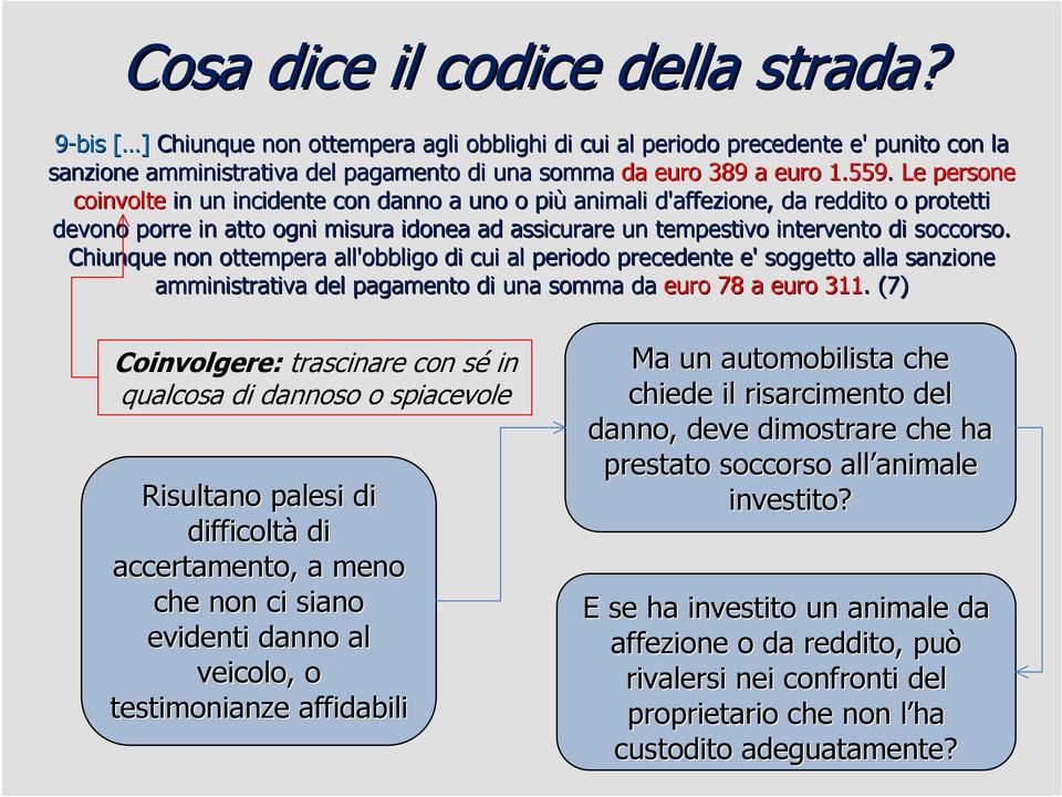 Le persone coinvolte in un incidente con danno a uno o più animali d'affezione, da reddito o protetti devono porre in atto ogni misura idonea ad assicurare un tempestivo intervento di soccorso.